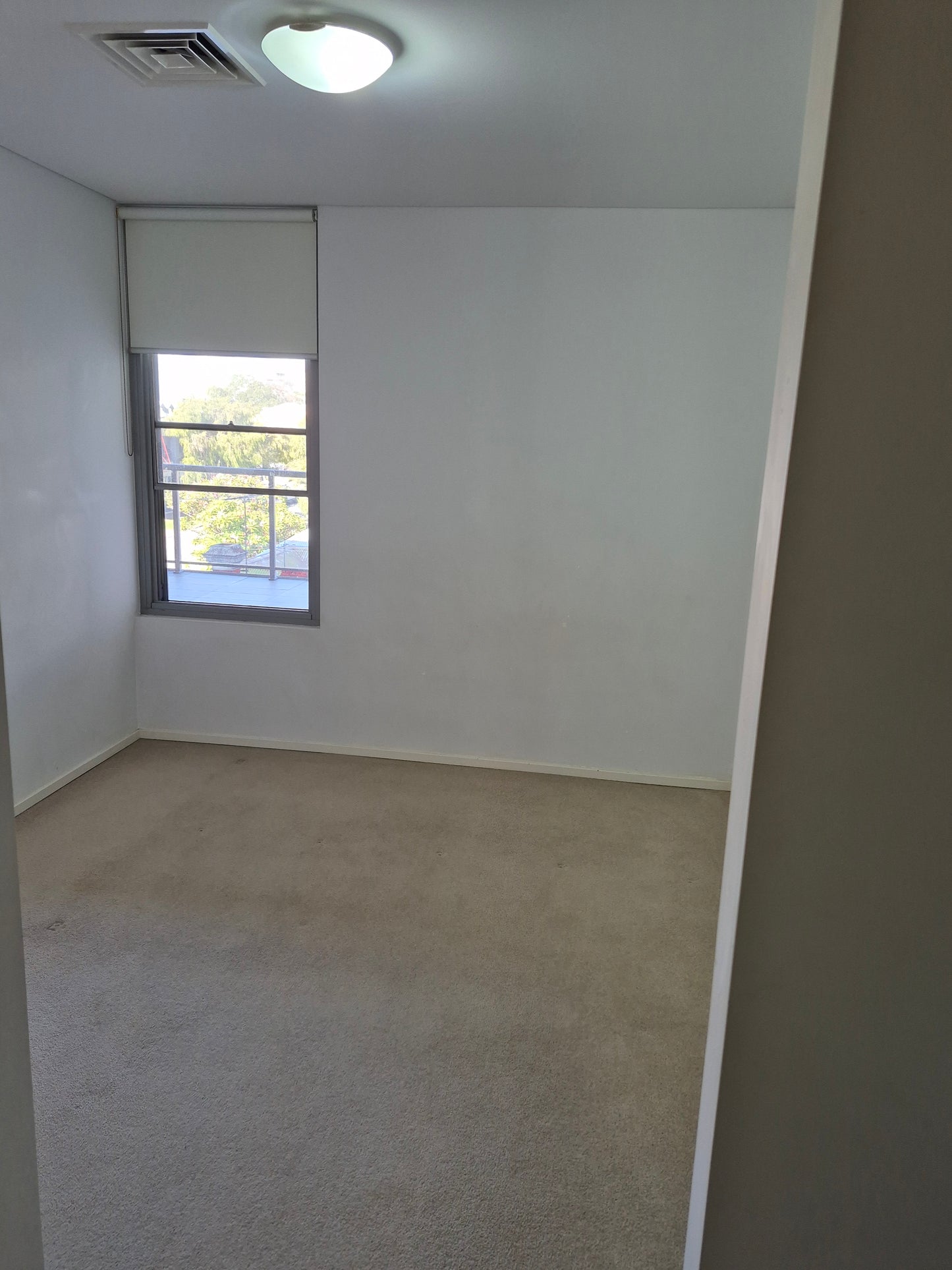 Carpet Cleaning for 5 bedroom